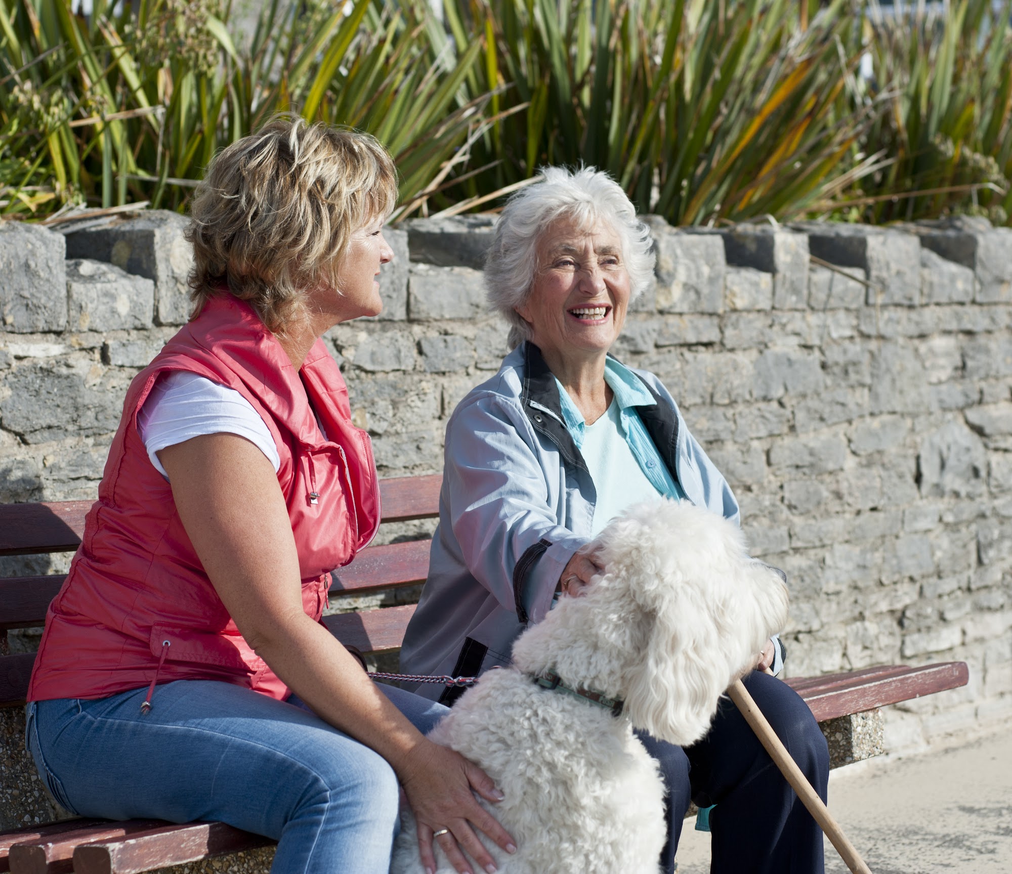 Agincare (Home Care & Live-in Care) - Southampton Totton