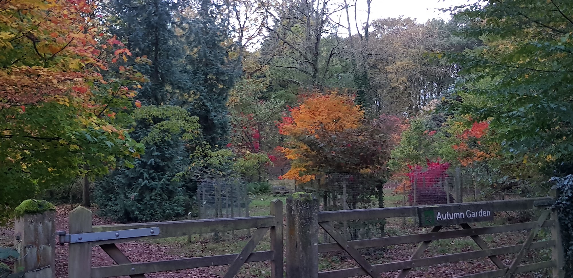 Herefordshire Wildlife Trust