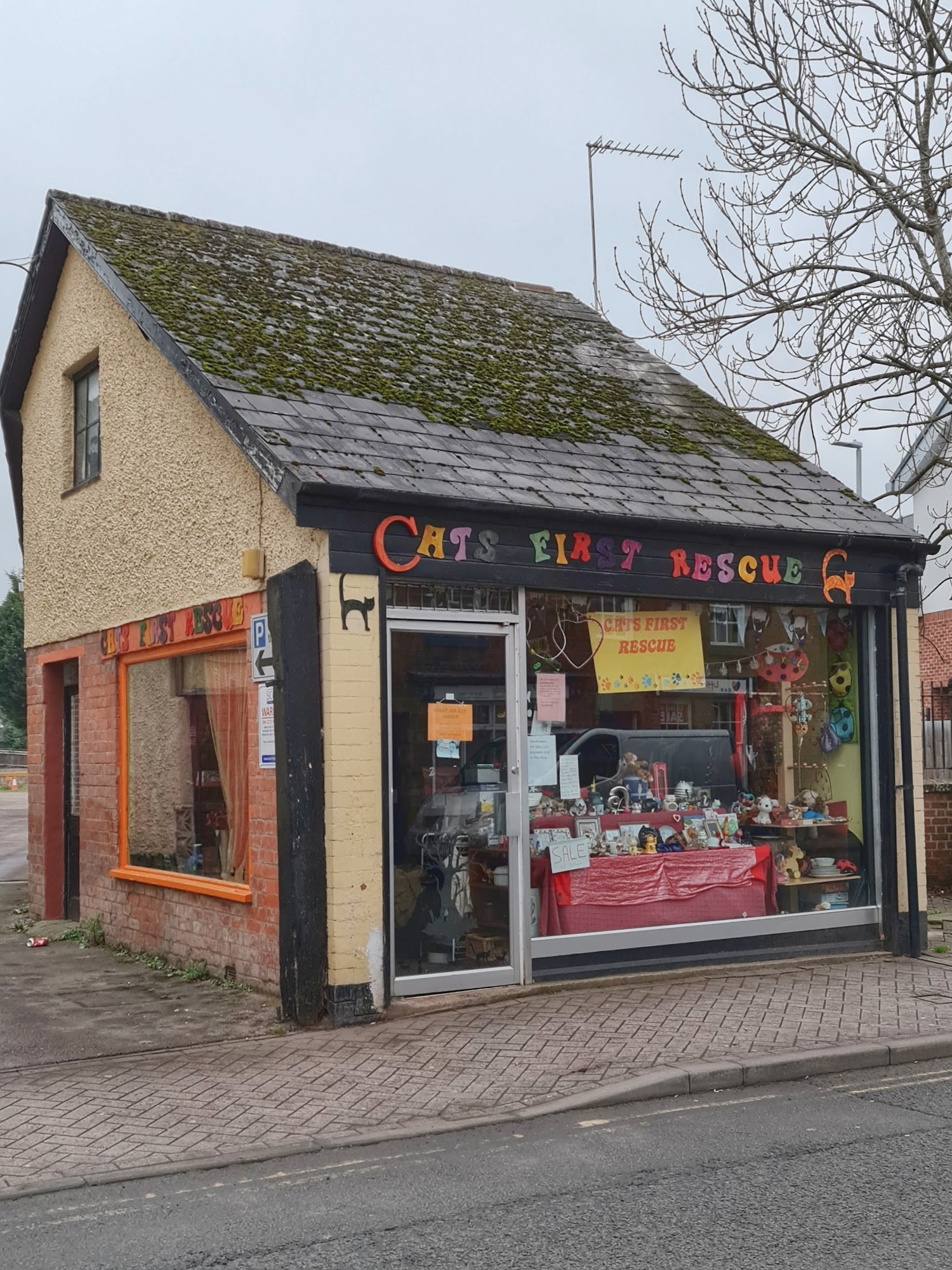 Cats First Rescue Ross-on-Wye