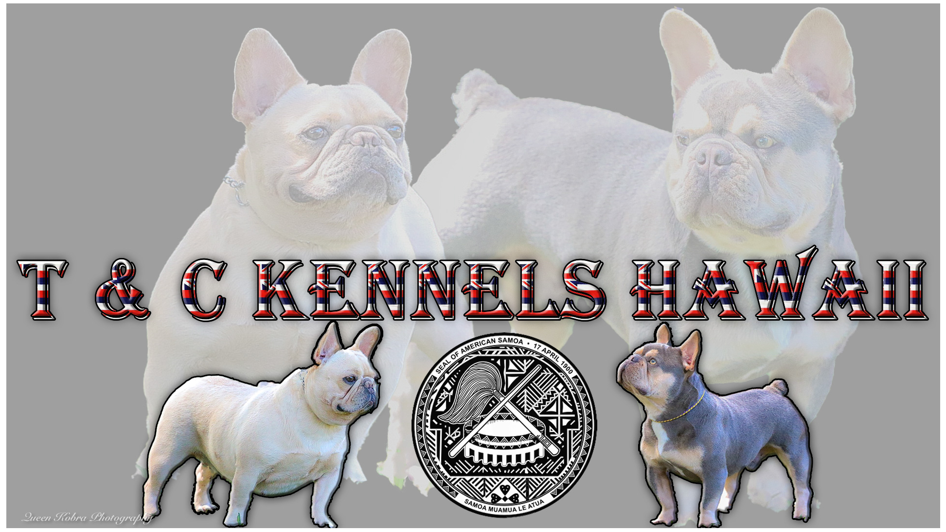 T&C Kennels Hawaii LLC