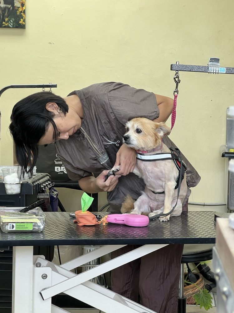 Wan Wan Paradise Honolulu