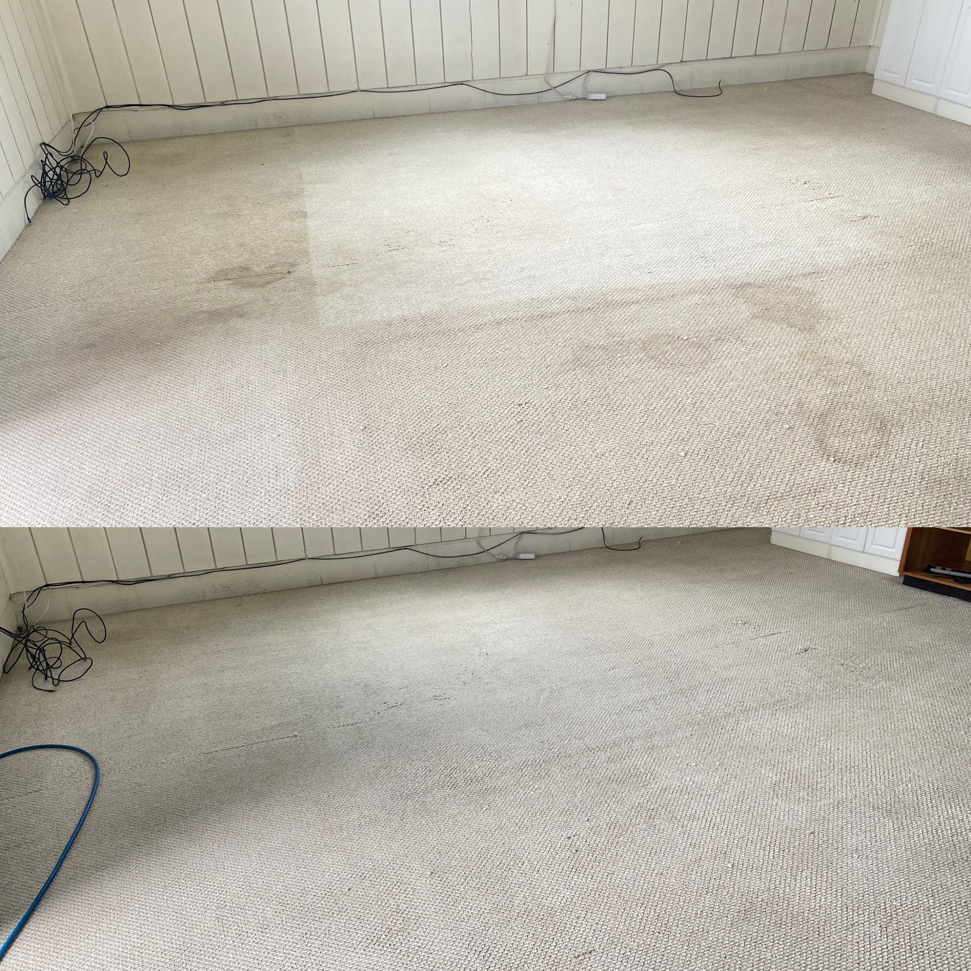 Maui Steamers Carpet and Upholstery Cleaning Services