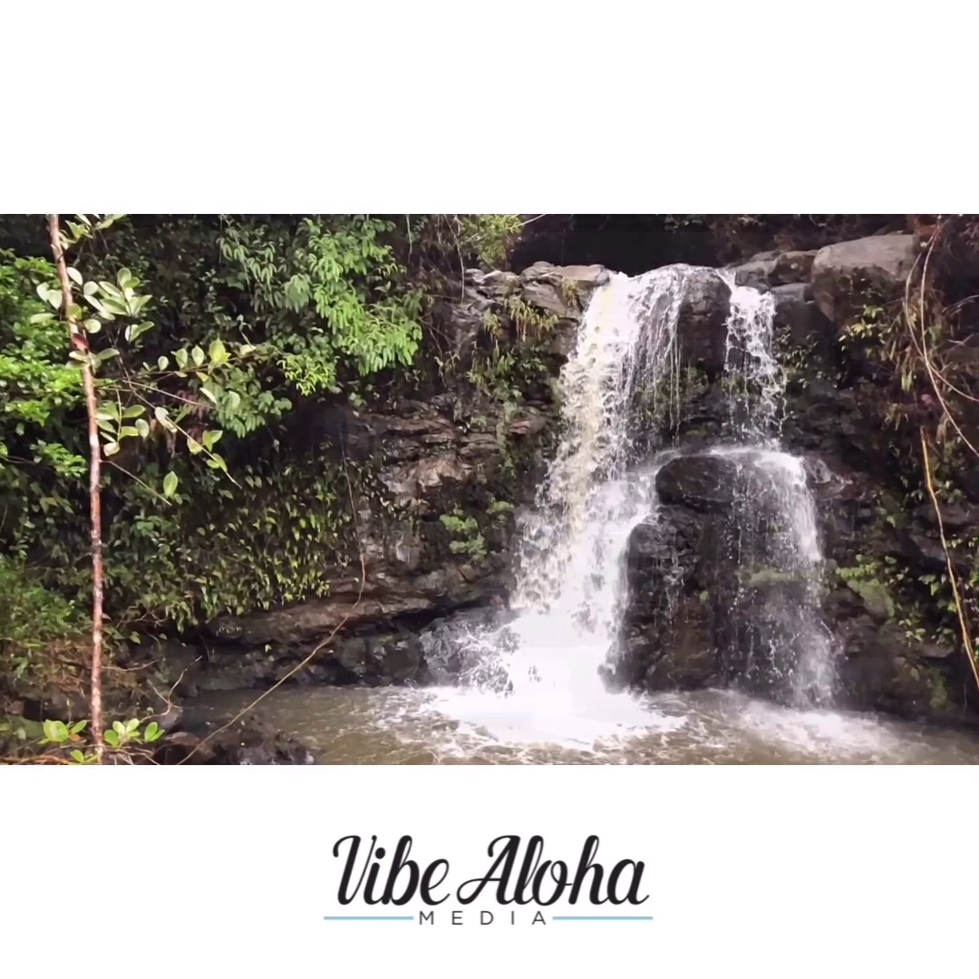 Vibe Aloha Media