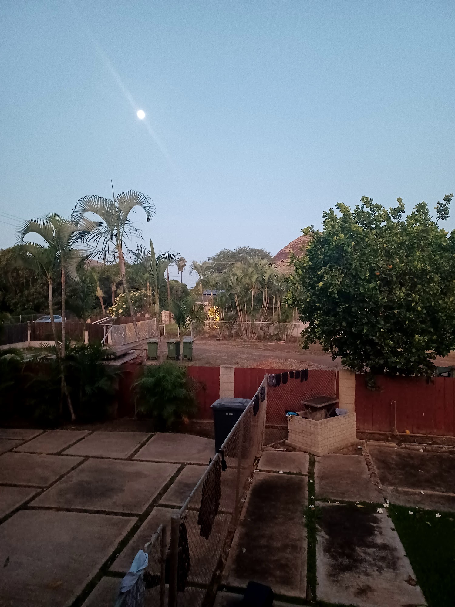 Tradewinds Pet Suites Waianae