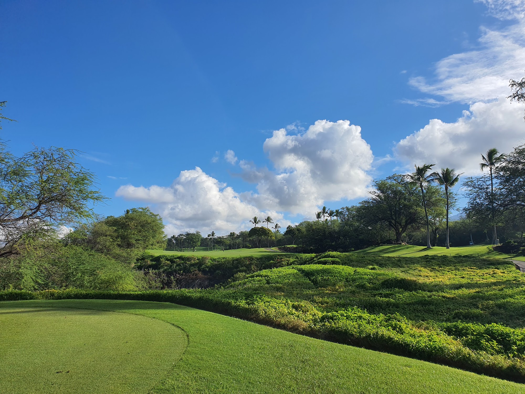 Wailea Golf Club - Three Premier Golf Courses on Maui, Hawaii 100 Wailea Golf Club Dr, Wailea Hawaii 96753