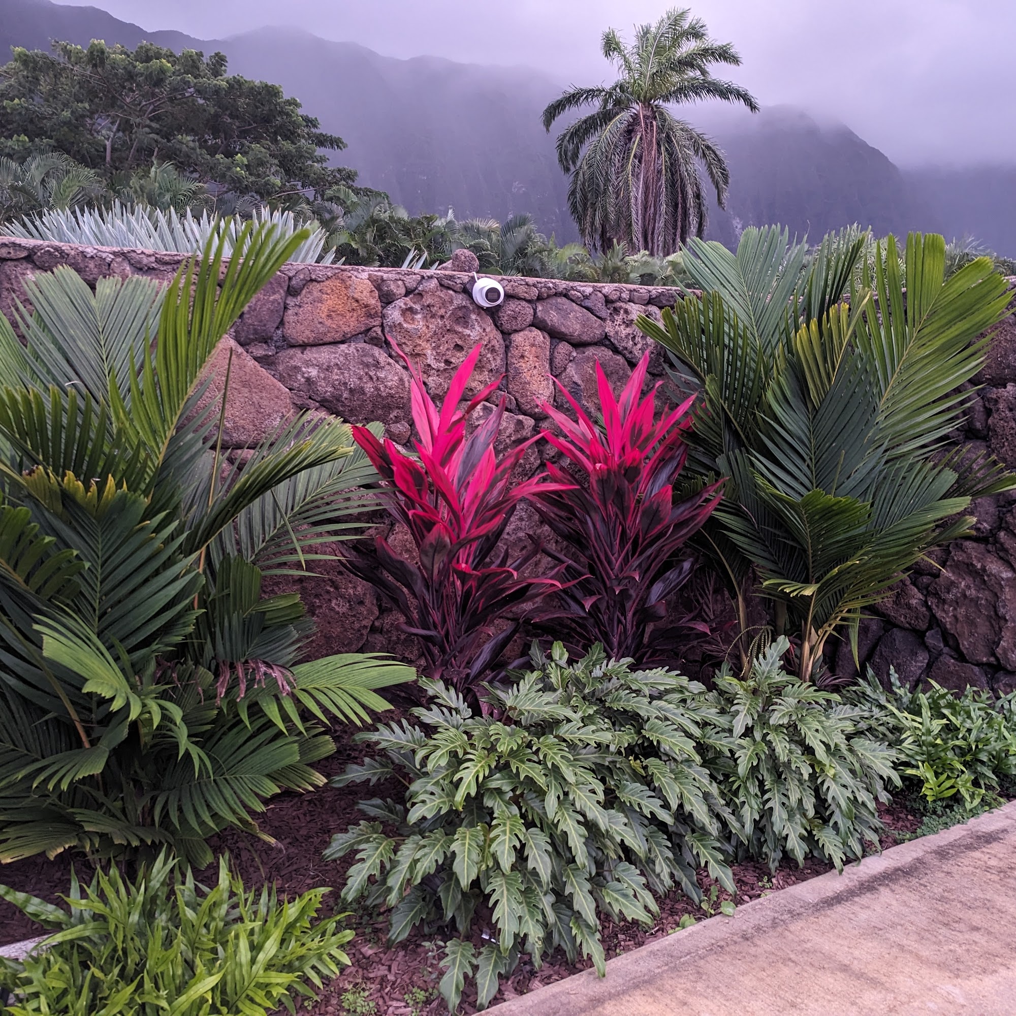 Aloha `Aina Landscaping LLC