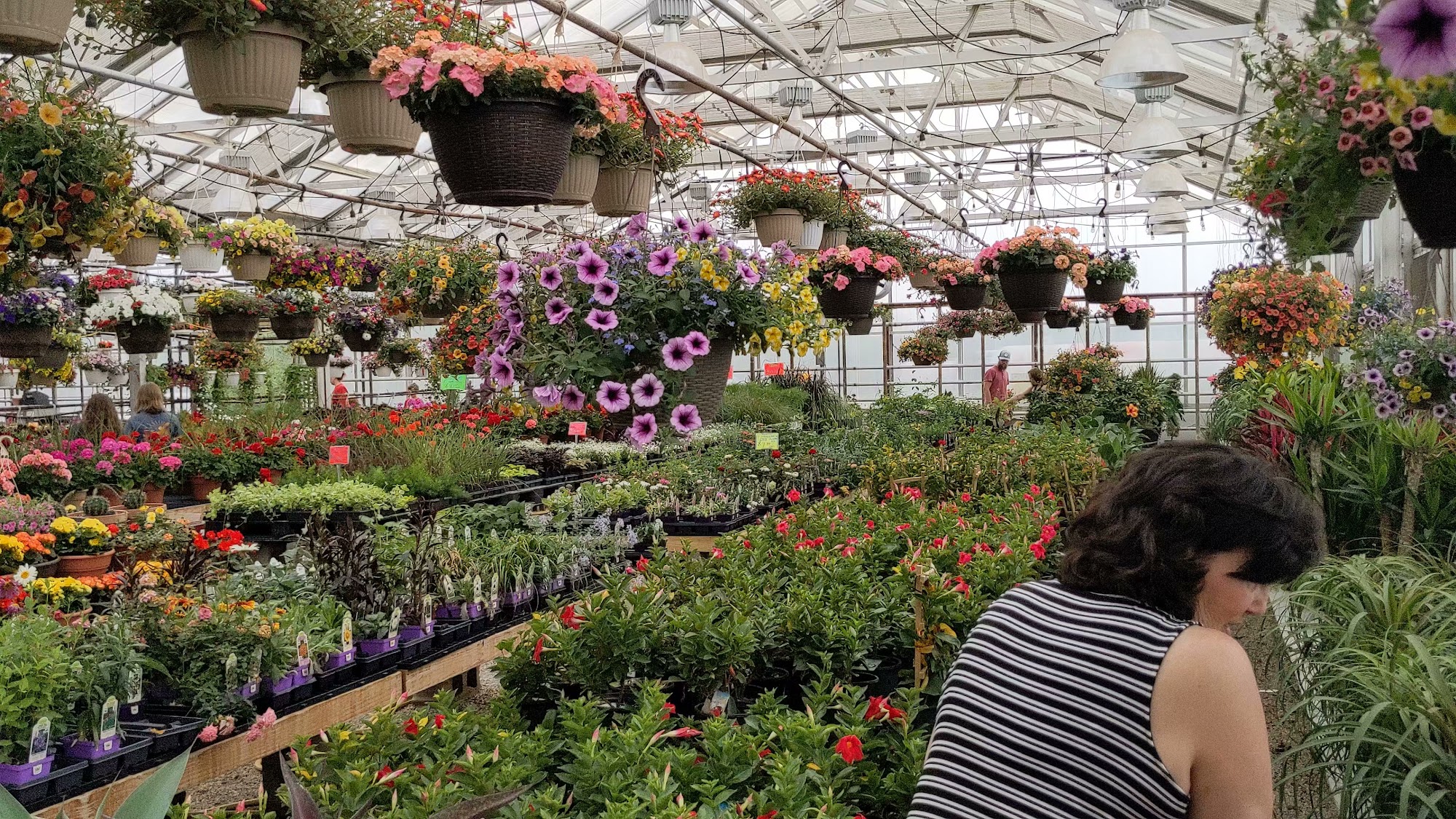 Salama Greenhouse & Floral 204 S Division St, Boone Iowa 50036