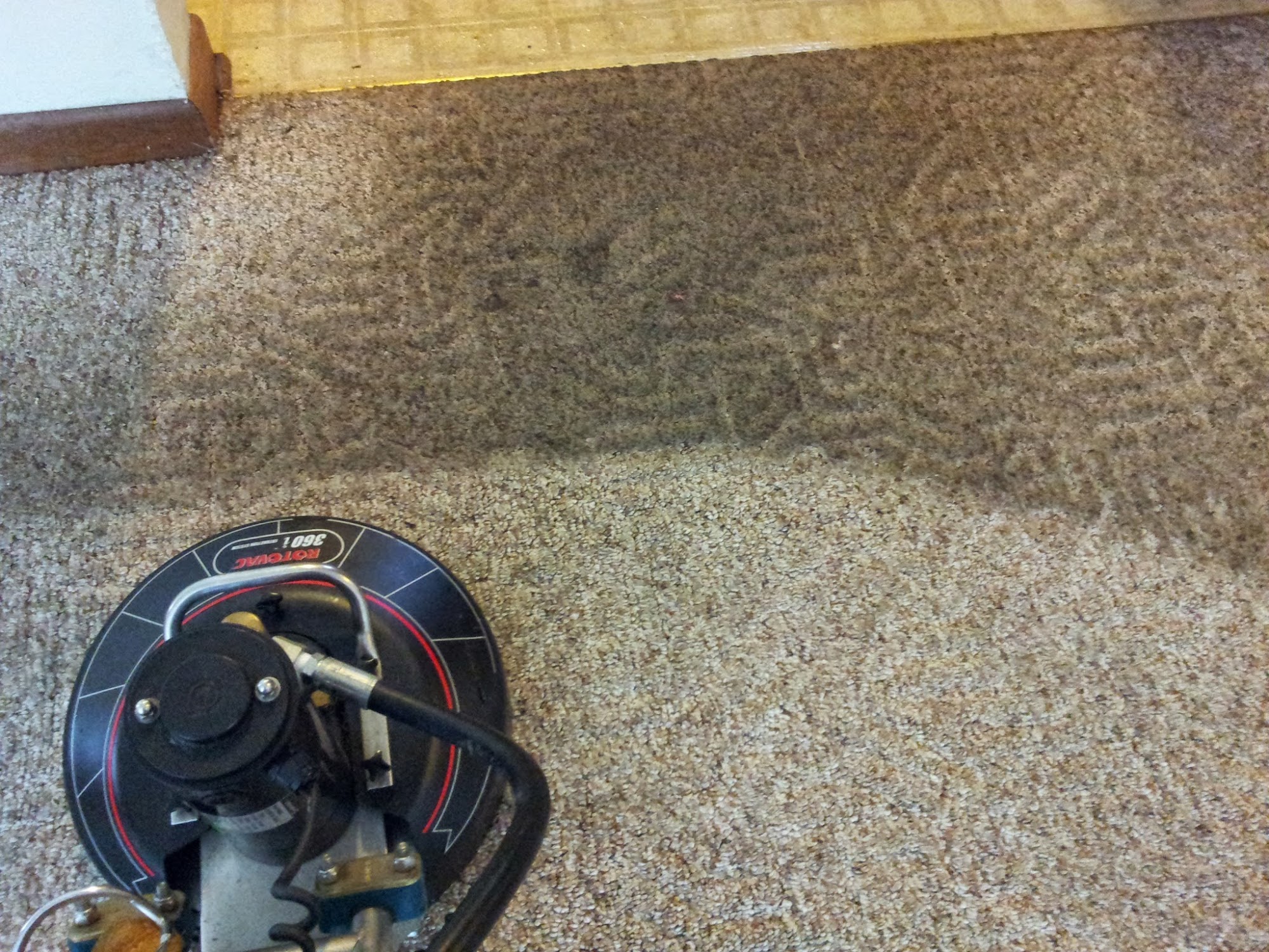 American Dream Carpet Cleaning