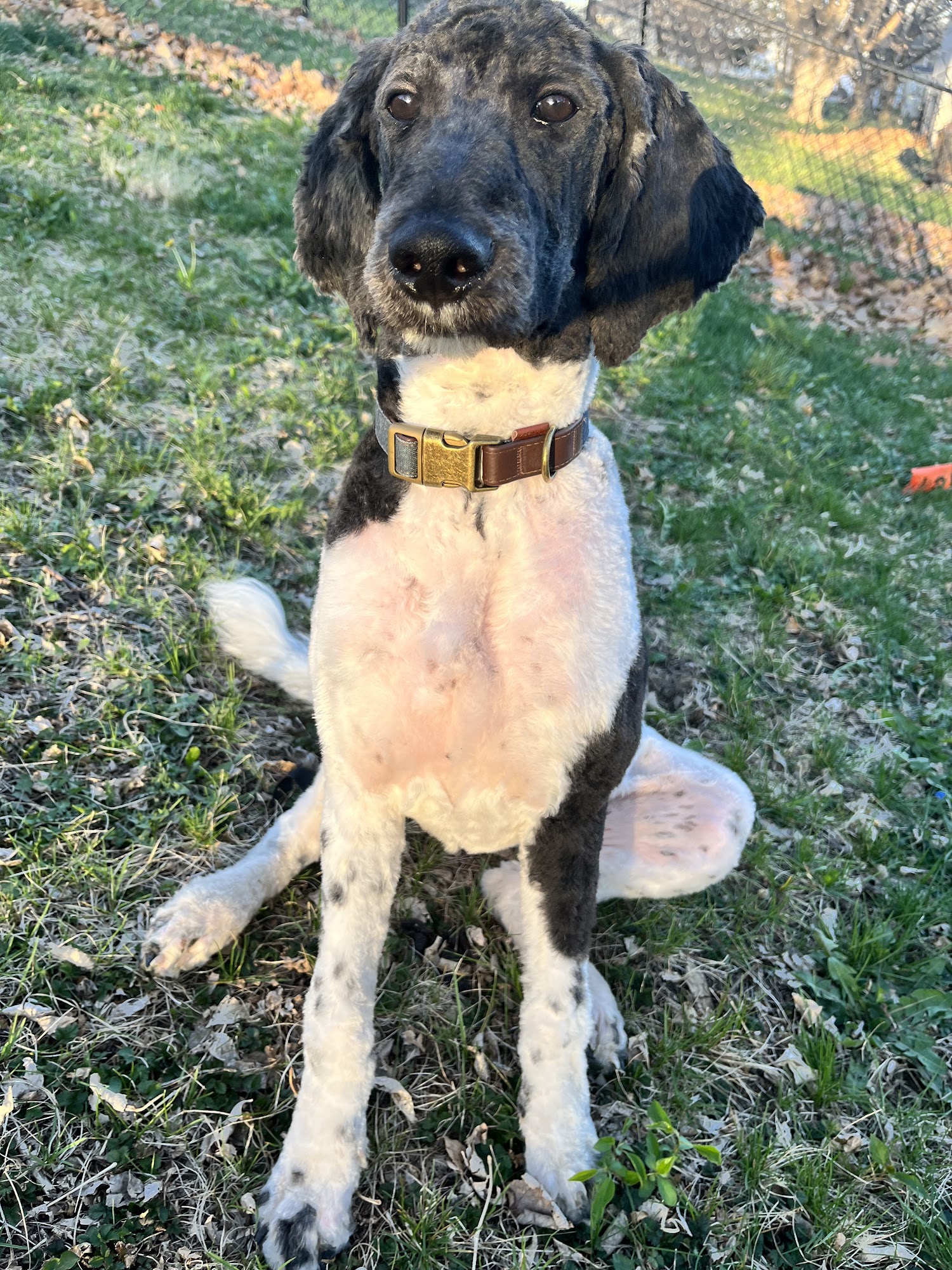 The Groomerzz Council Bluffs