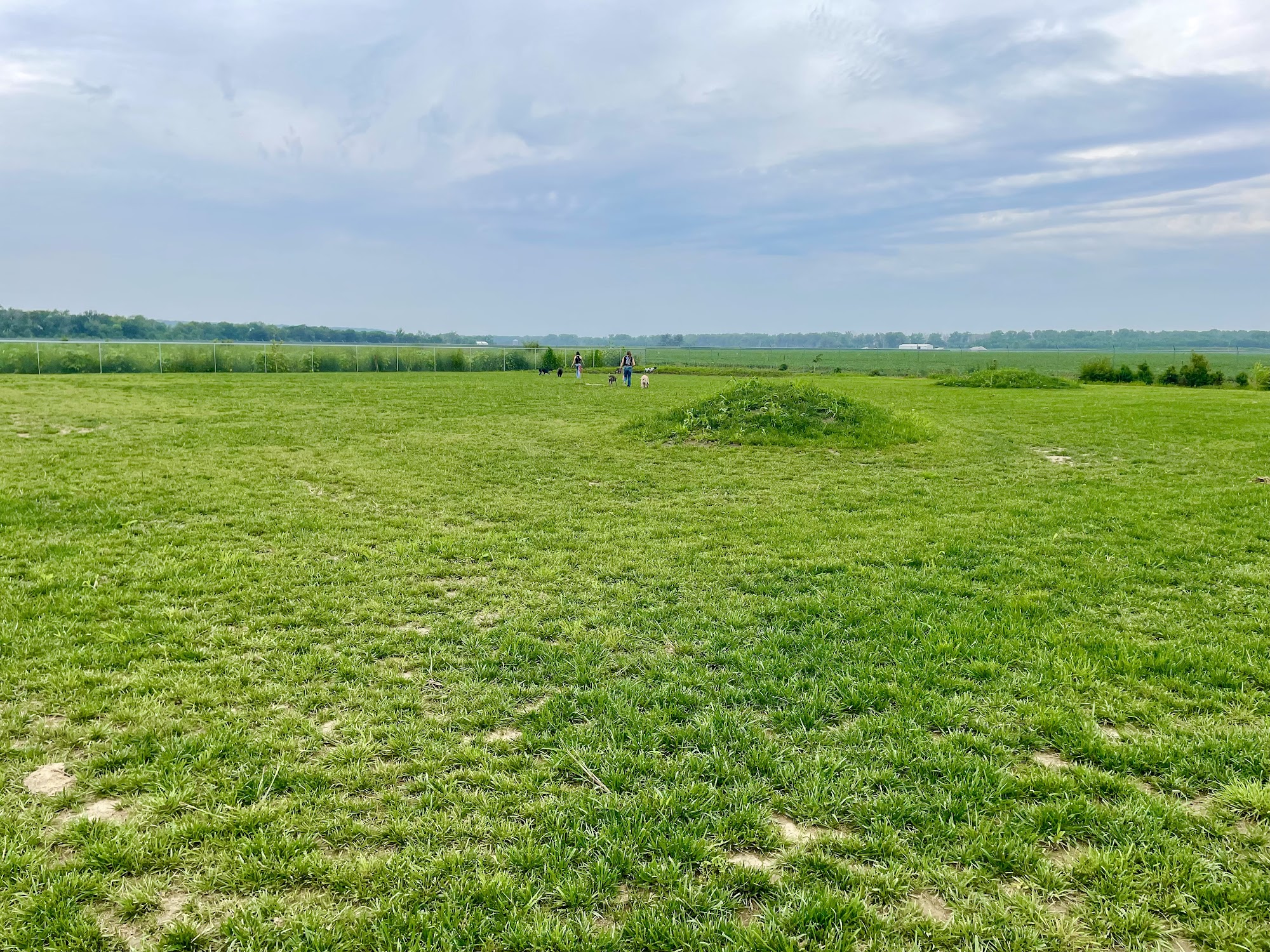 S&B Kountry Kennel Council Bluffs