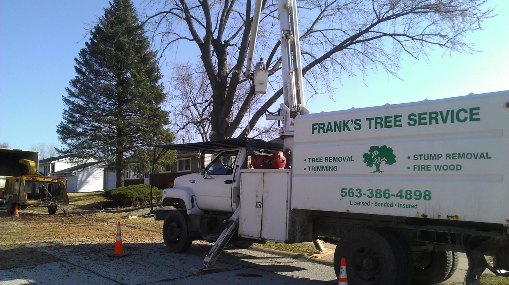 Frank's Tree Service
