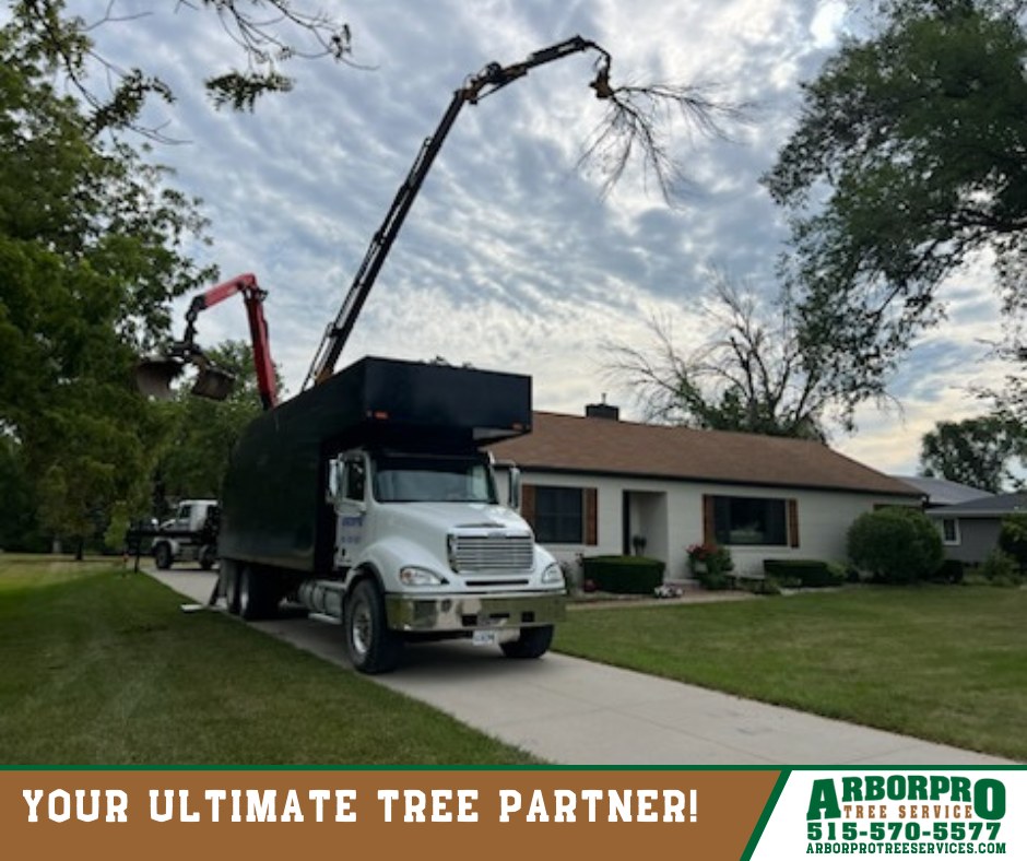 Arborpro Tree Services