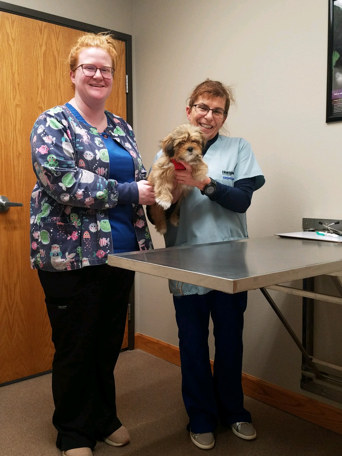 Guthrie County Veterinary Services 2305 Maple Ave, Guthrie Center Iowa 50115