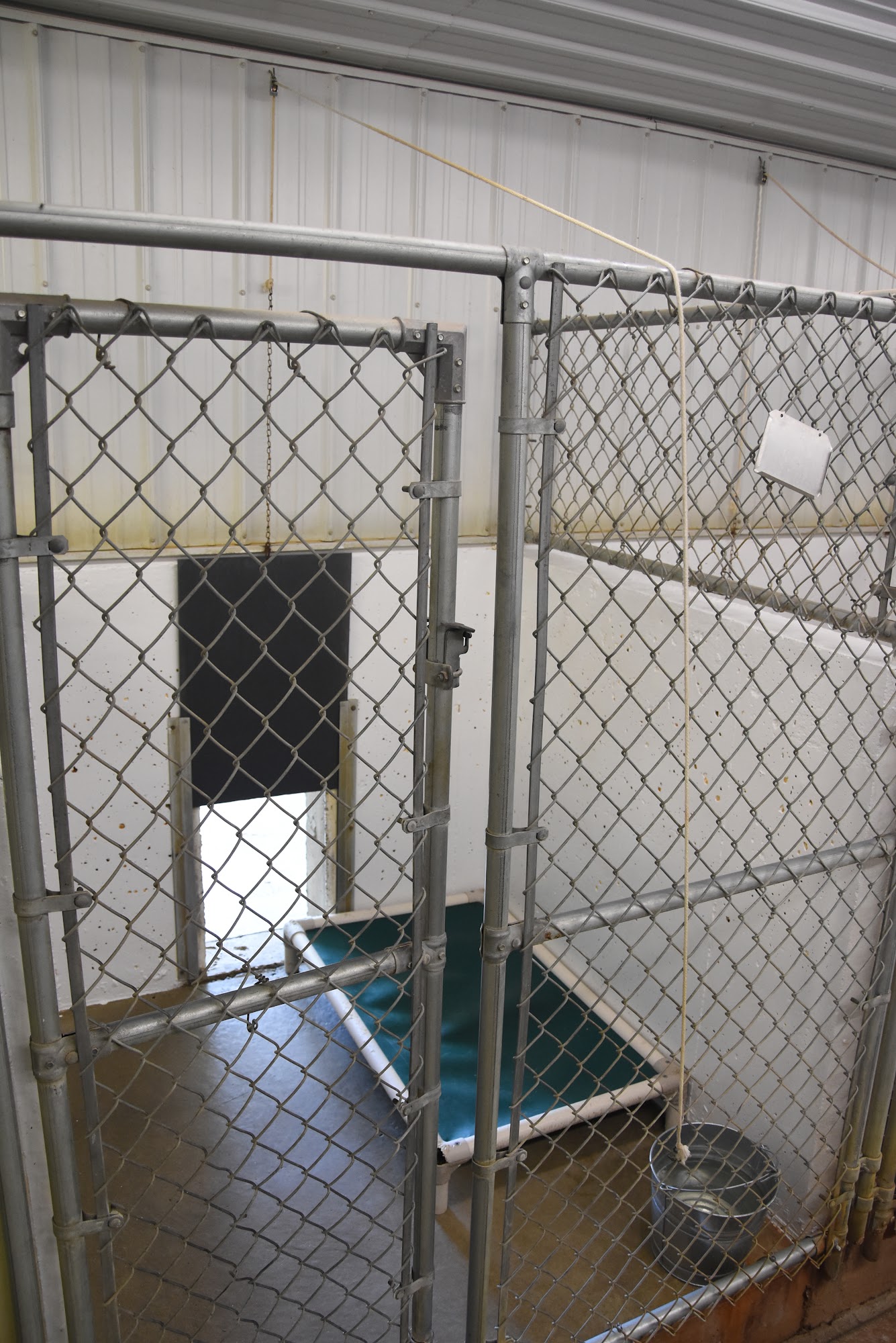 Arrowhead Kennels Hudson