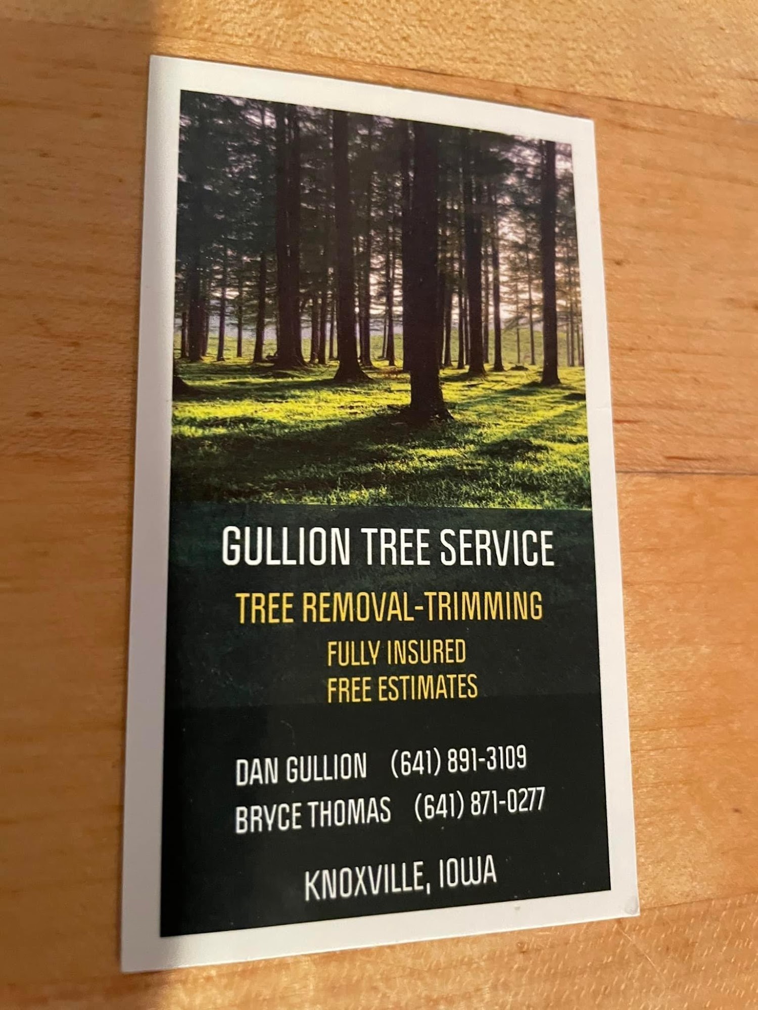 Gullion Tree Service 1506 165th Ave, Knoxville Iowa 50138