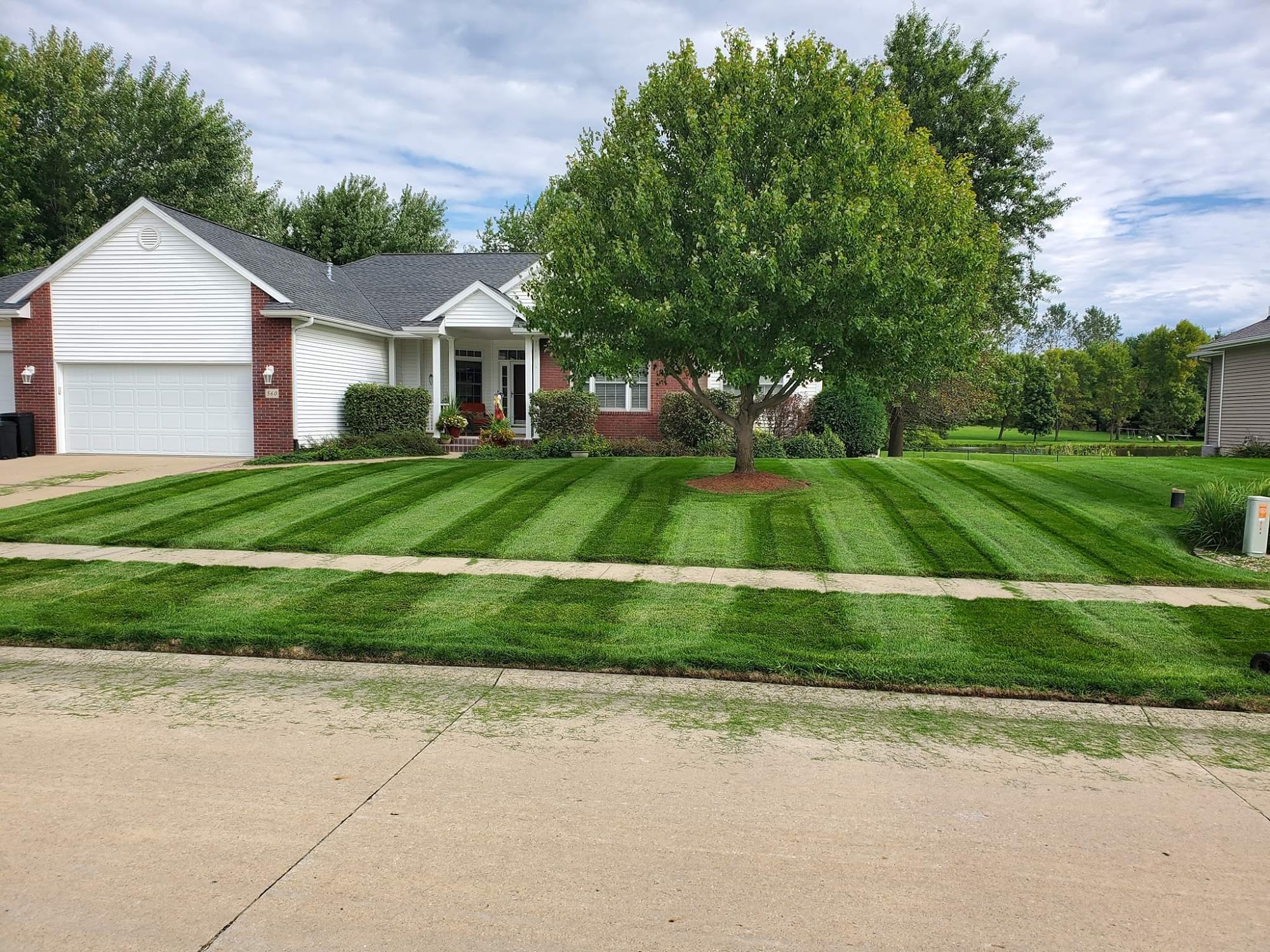 Trier's Lawn & Landscaping