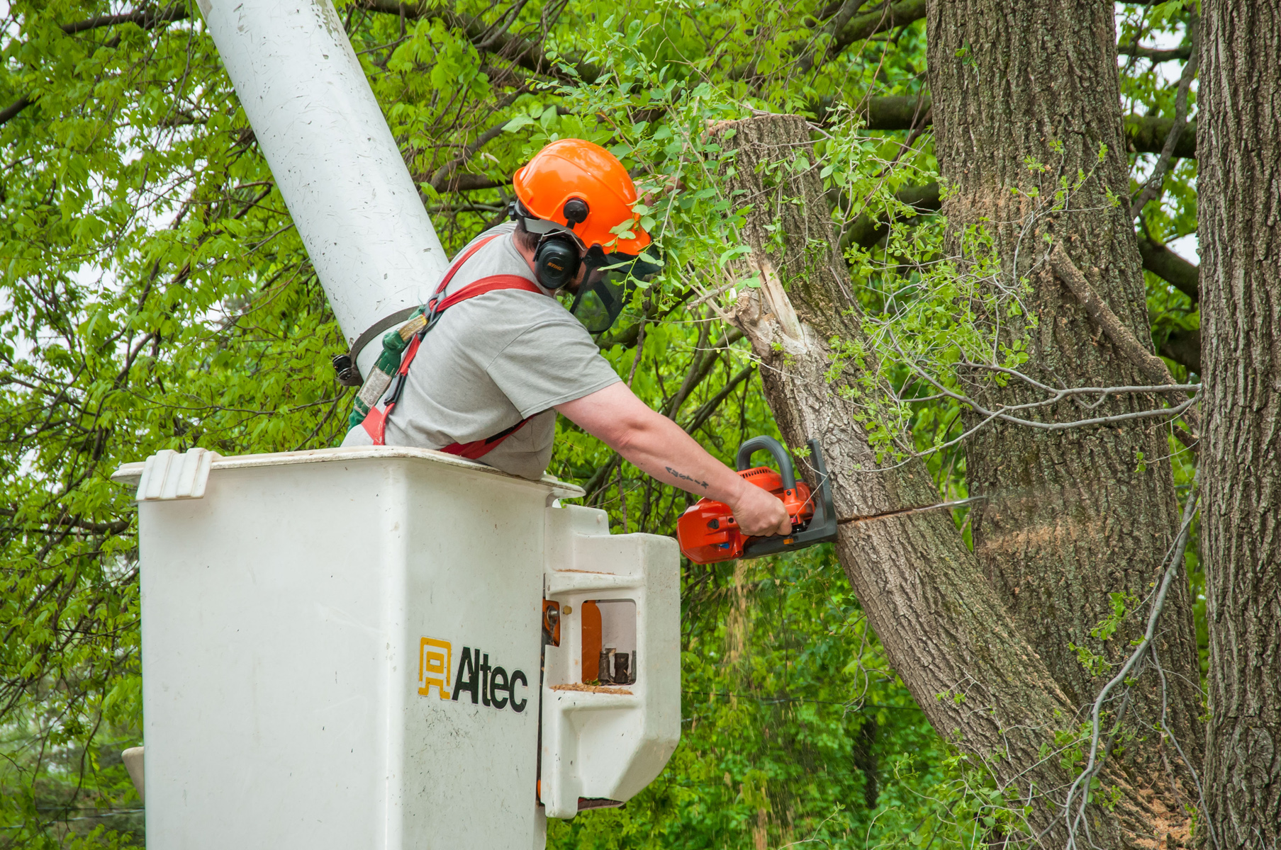 Jason's Tree Services 6240 NE Rising Sun Dr, Pleasant Hill Iowa 50327