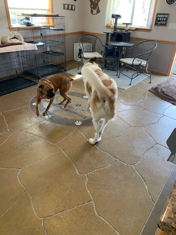 Photo credit: nextdoor