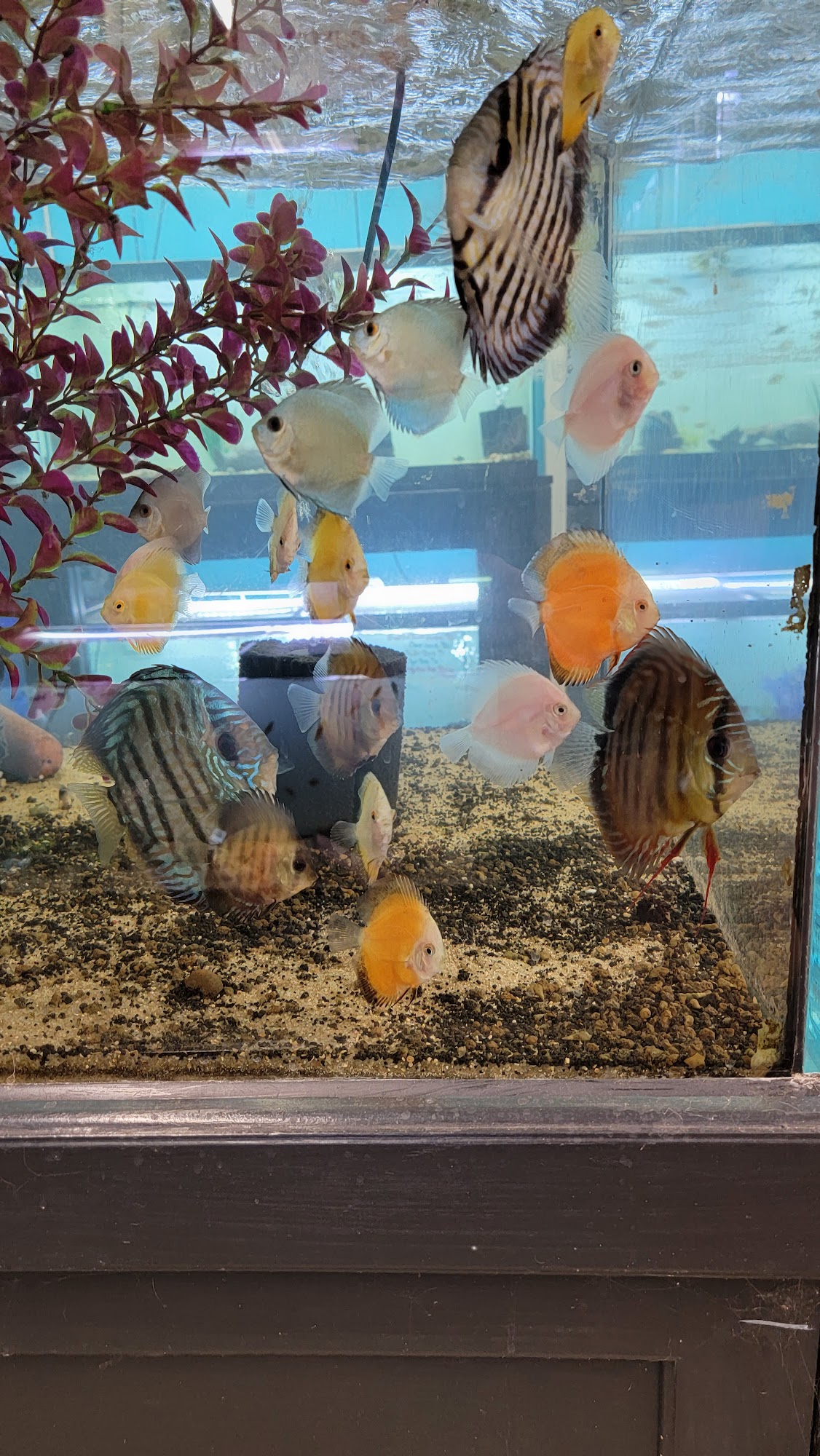 Fish Barn West Branch