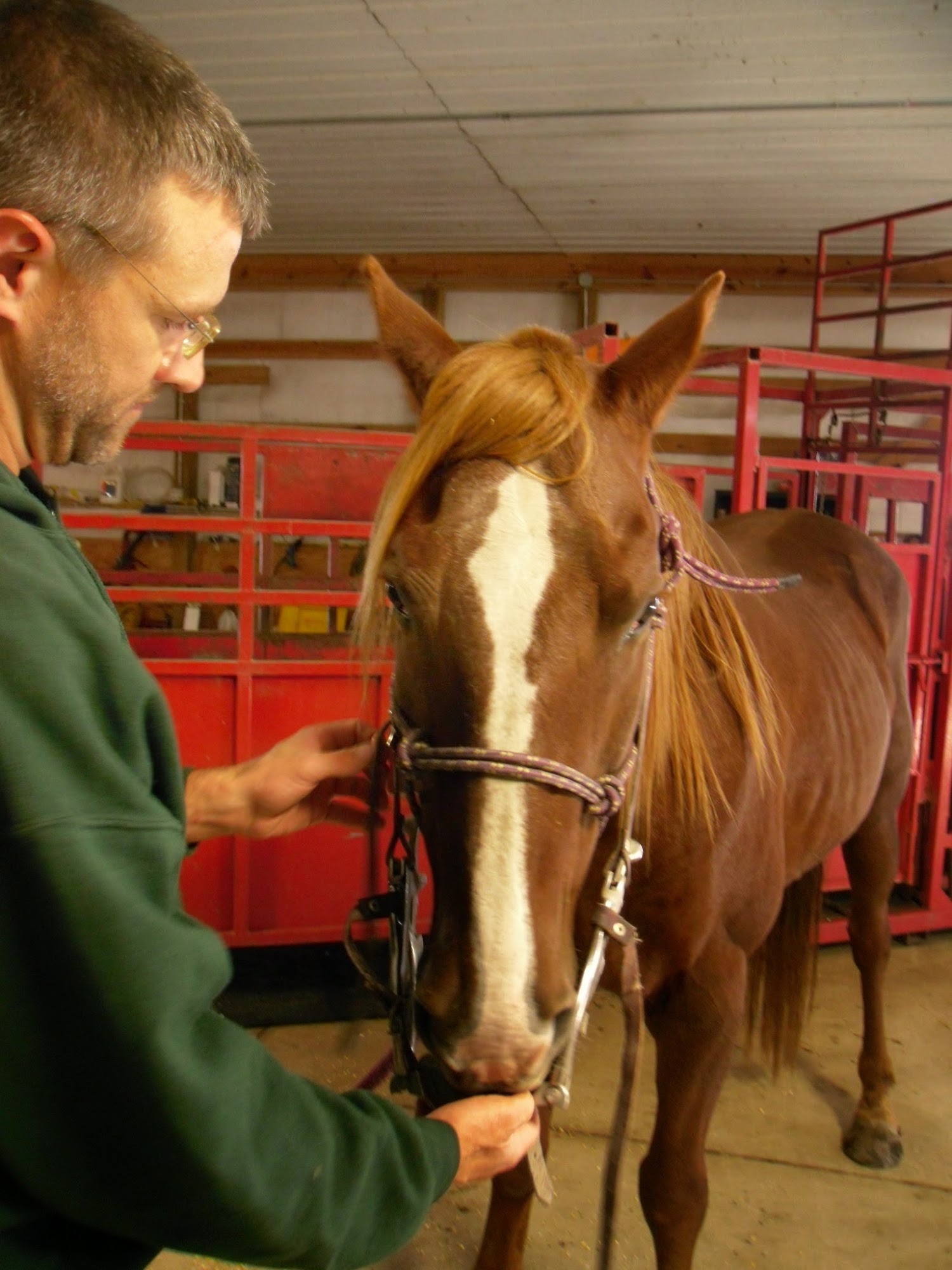 Cedar Creek Animal Clinic