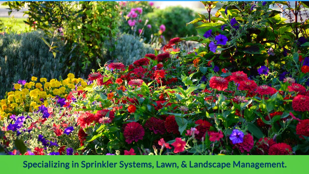 A To Z Sprinklers & Landscaping
