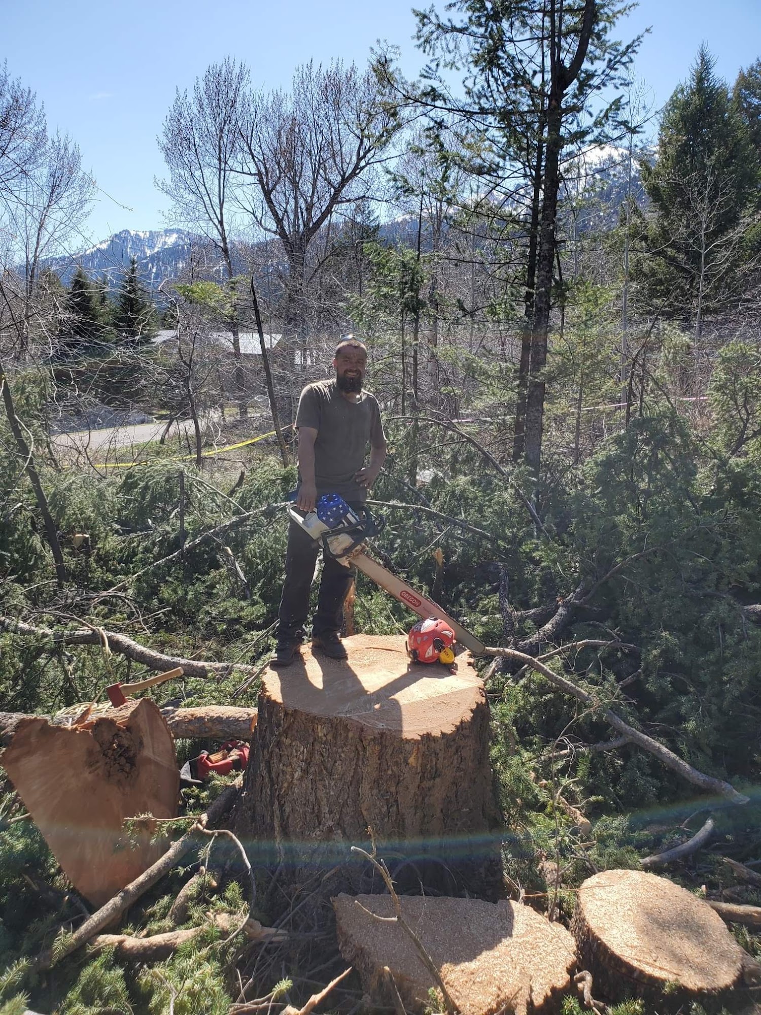 Wilson Tree Service 85 E Ross Ave, Driggs Idaho 83422