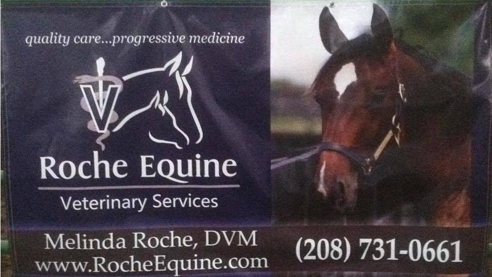 Roche Equine Veterinary Services PA 2151 E 3800 N, Filer Idaho 83328