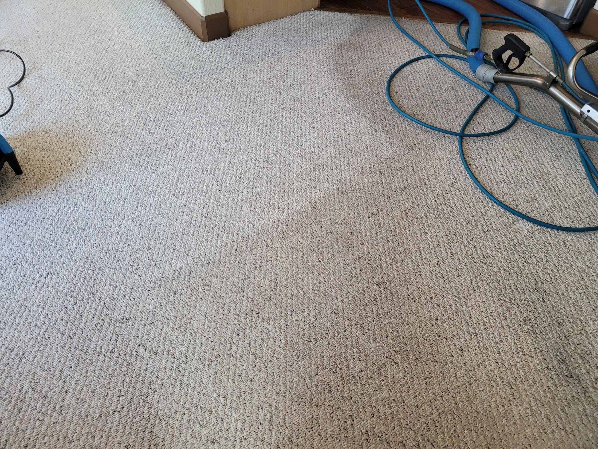 Mr. Suds Carpet Cleaning LLC