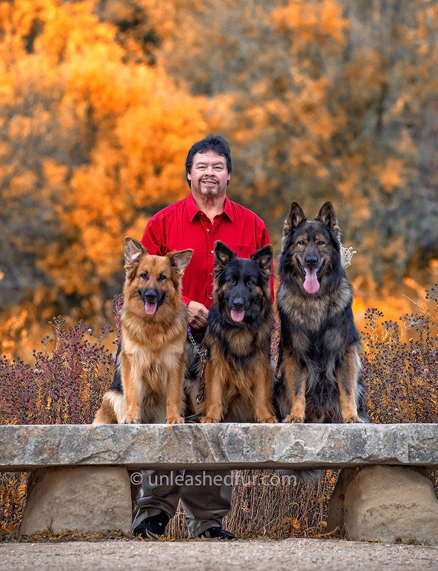 Top Dog Idaho Professional Dog Training