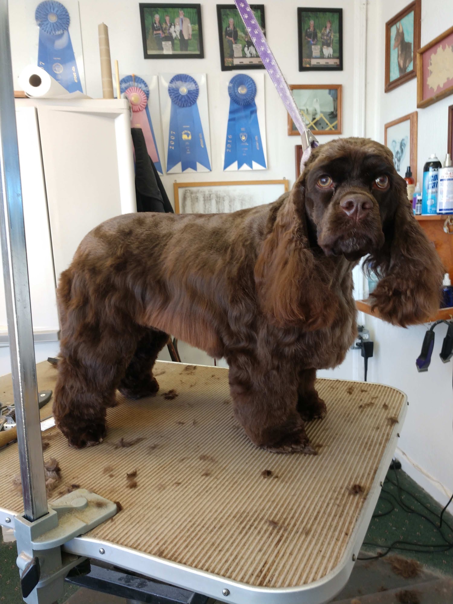 Groom Room Pocatello