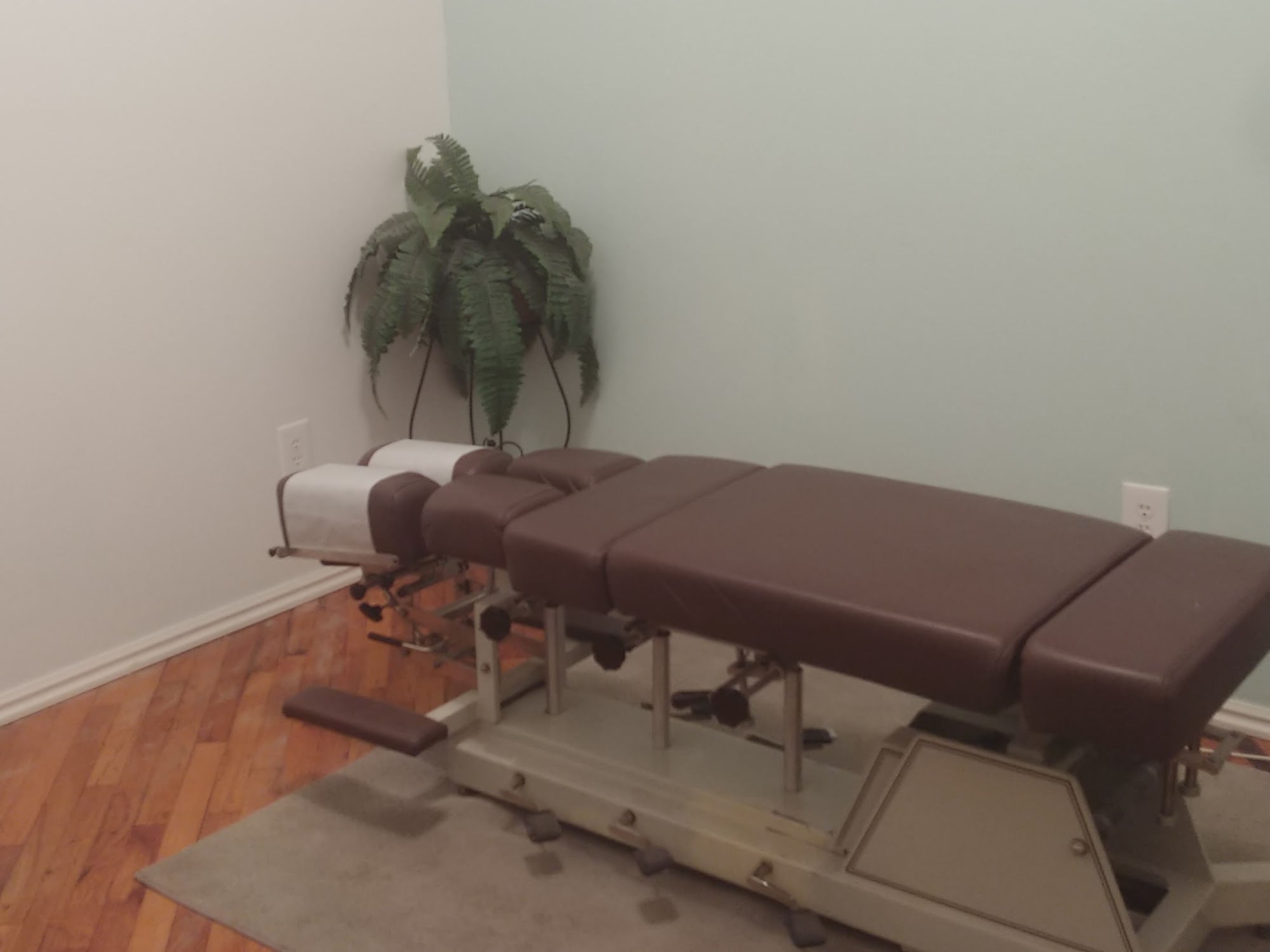 Snake River Chiropractic II