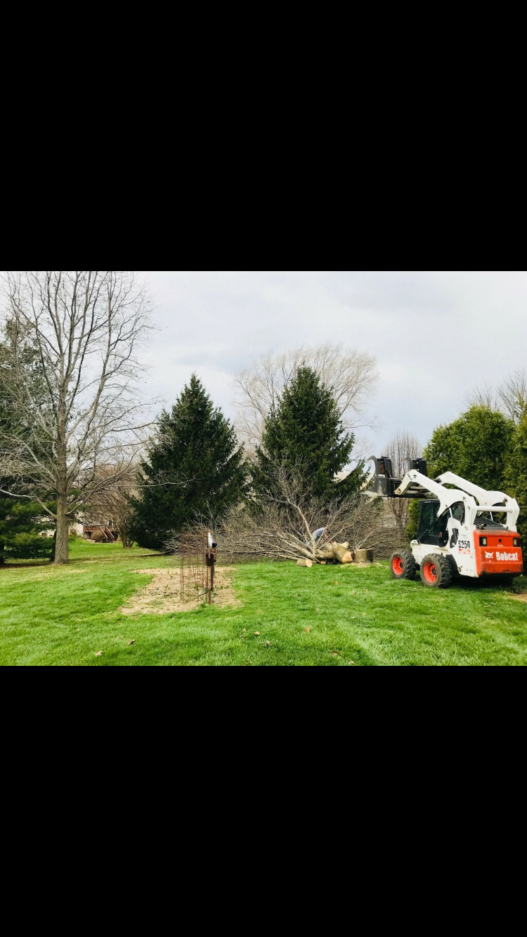 STAAB TREE SERVICE LLC 21788 Cantrall Rd, Athens Illinois 62613