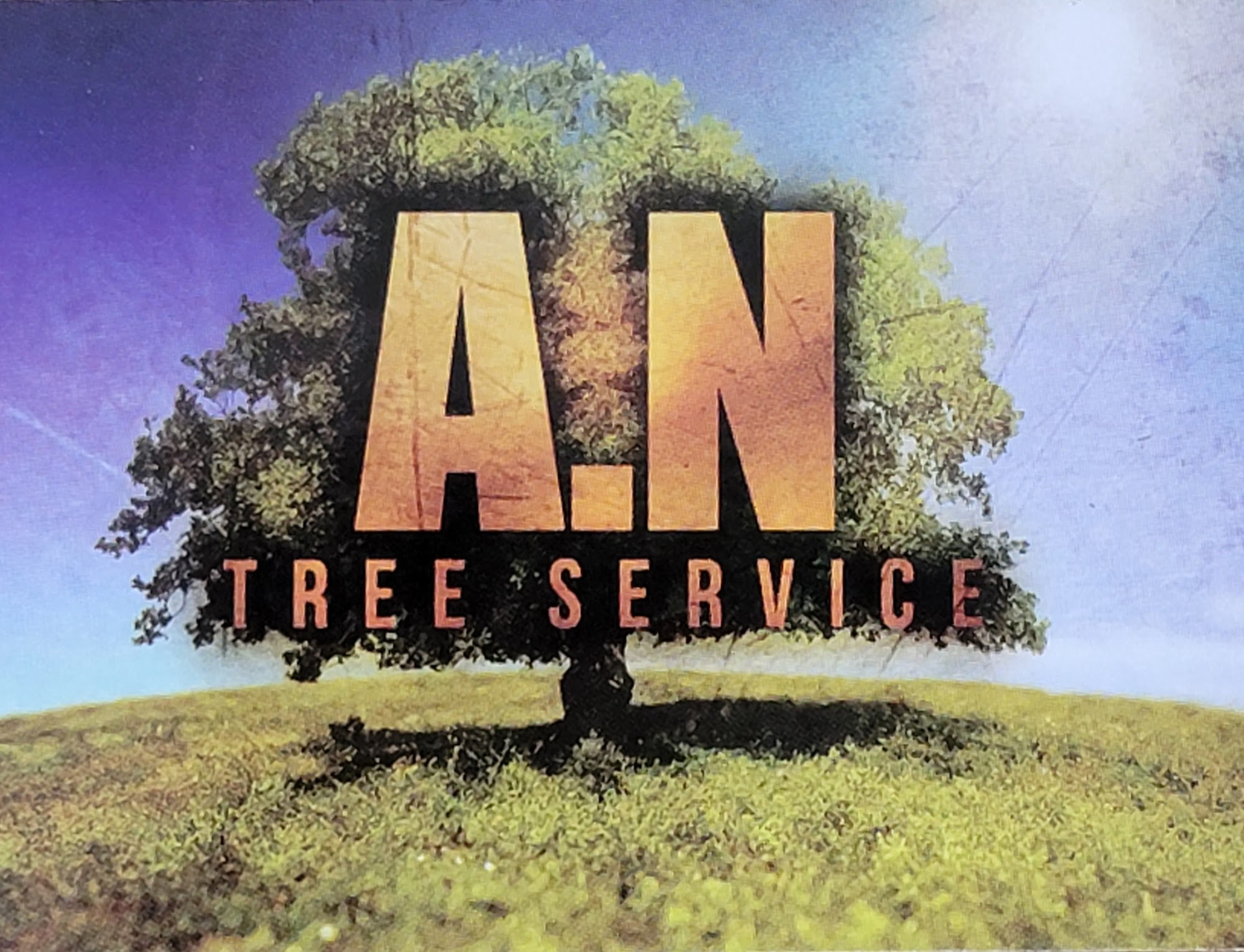 AN tree service
