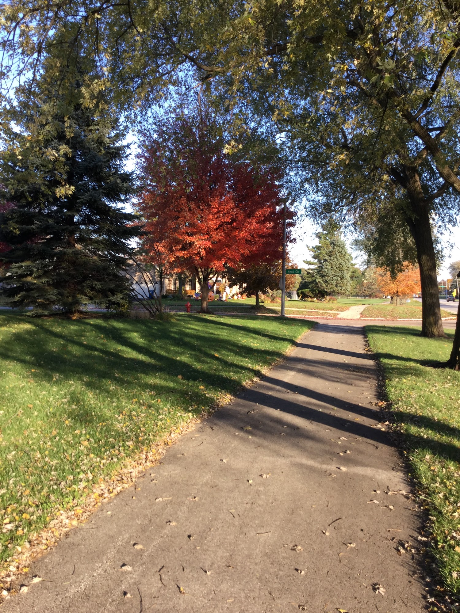 Innovative Landscape Group