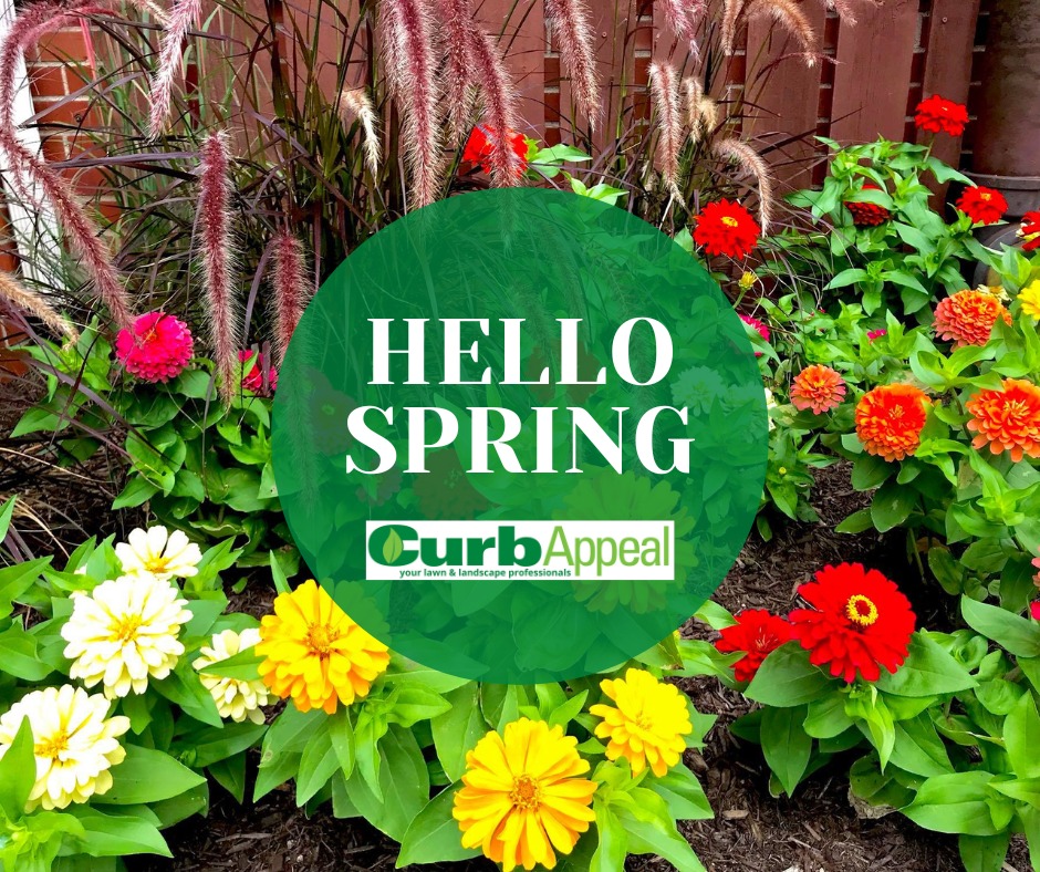 Curb Appeal - Landscaping and Lawn Care Service