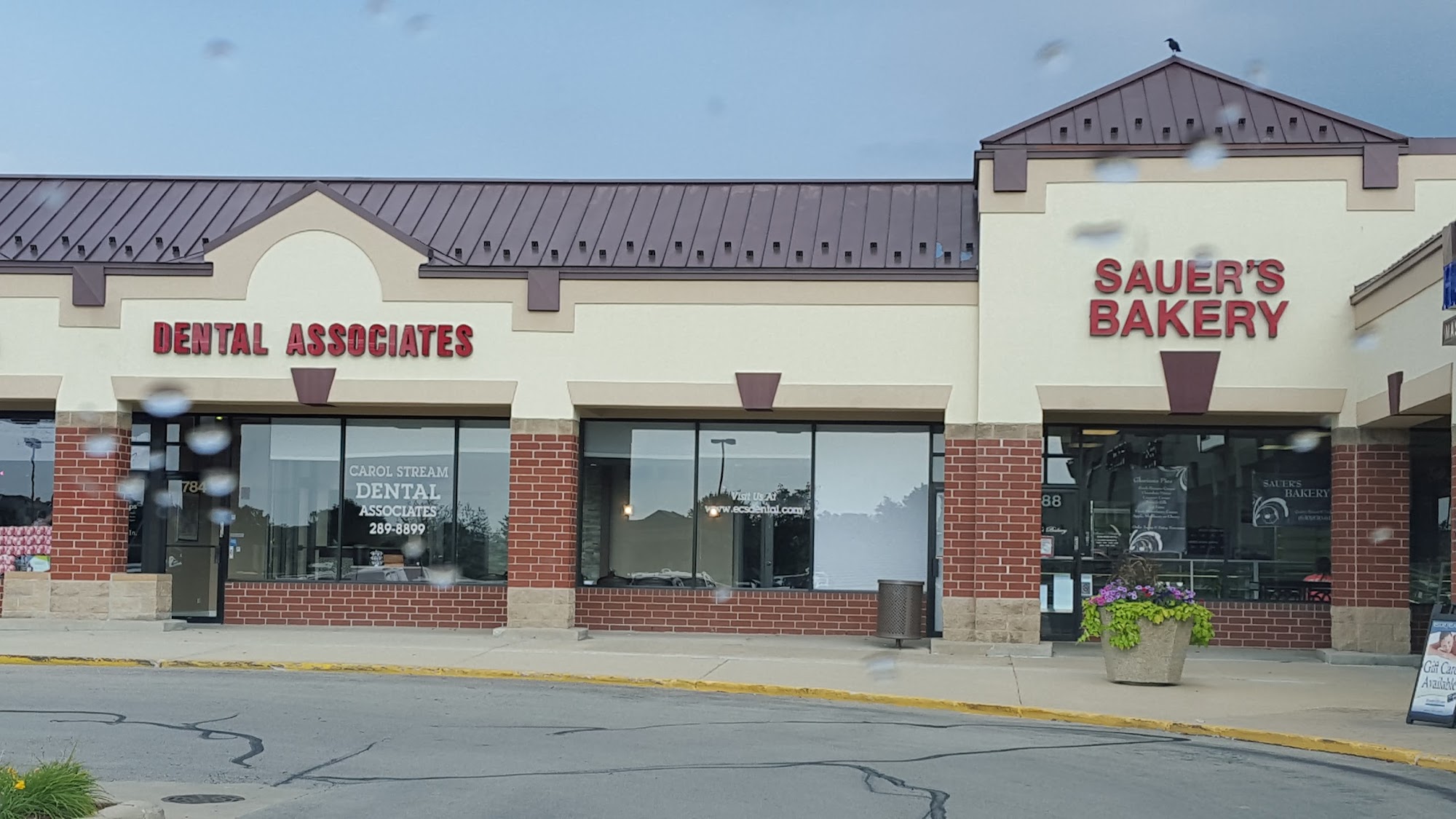 Sauer's Bakery