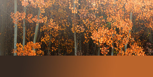 Leszczewicz & Unverricht, LLC