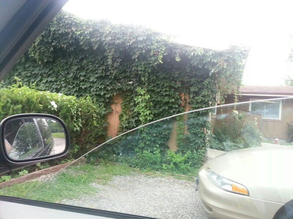 Photo credit: nextdoor