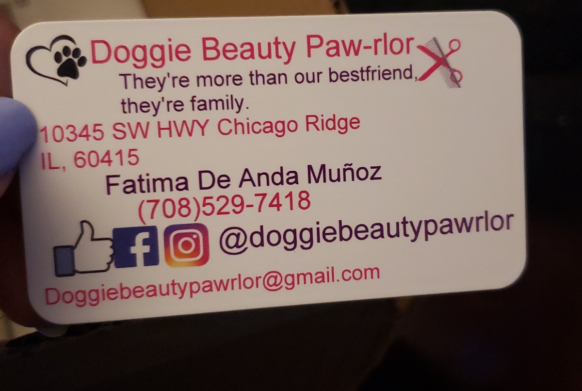 Doggie Beauty Paw-rlor LLC 10345 SW Hwy, Chicago Ridge Illinois 60415