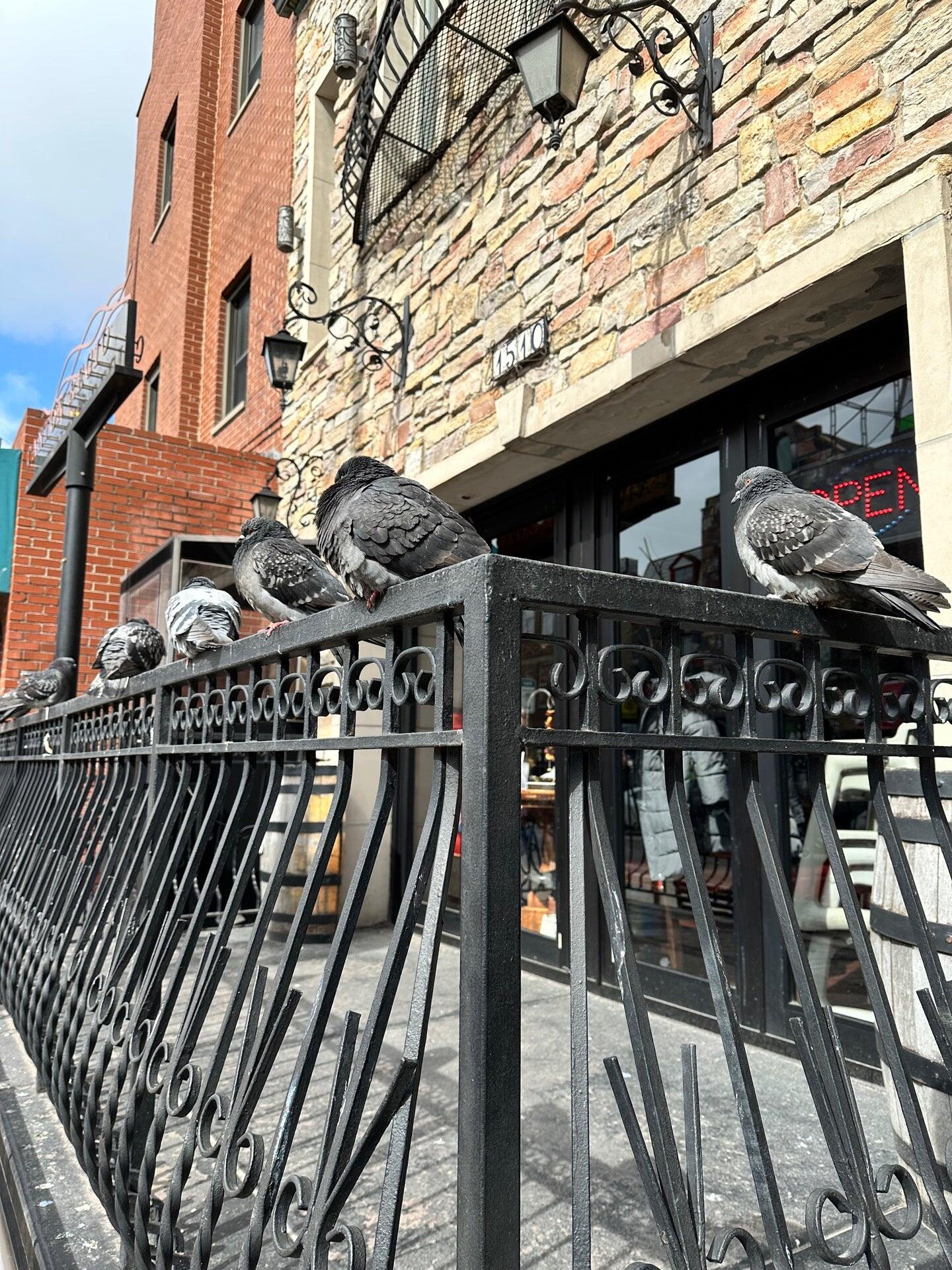 Photo credit: nextdoor