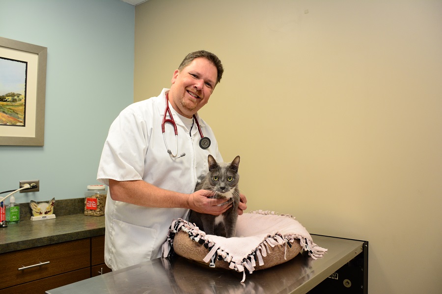 North Center Animal Hospital, A Thrive Pet Healthcare Partner