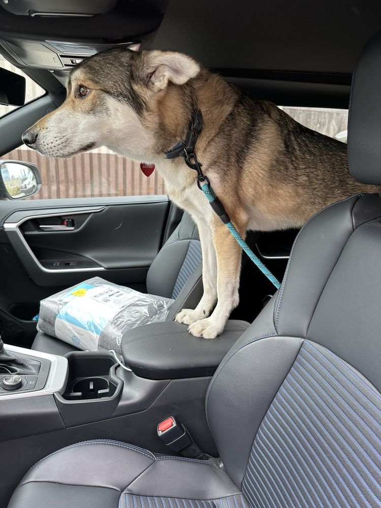 Happy Tails & Trails Chicago