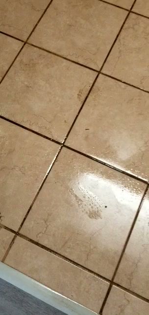 Vero’s Cleaning Company