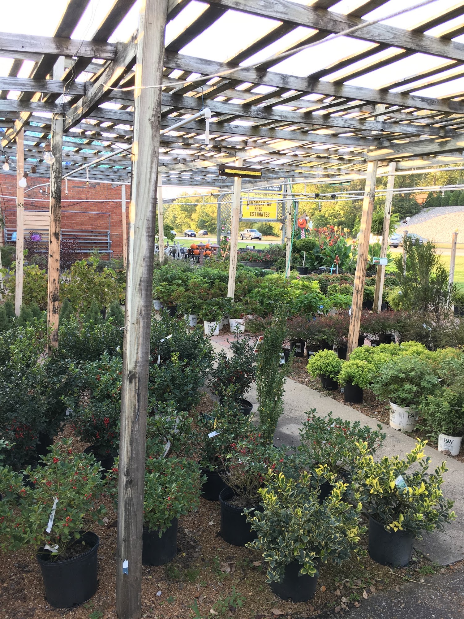 Shadycreek Nursery & Garden, Inc.