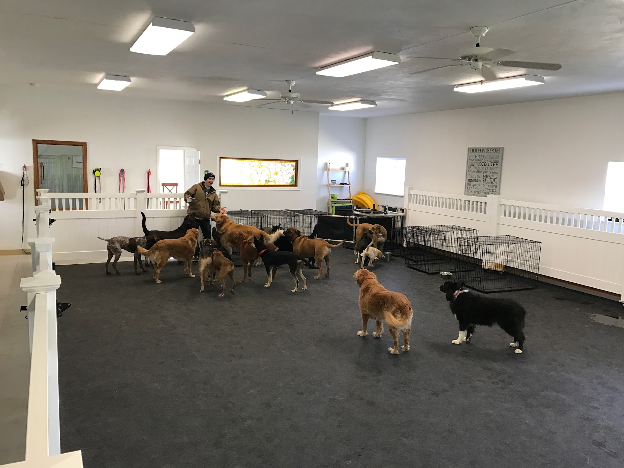 Kritter Kare's Howliday Inn Columbia