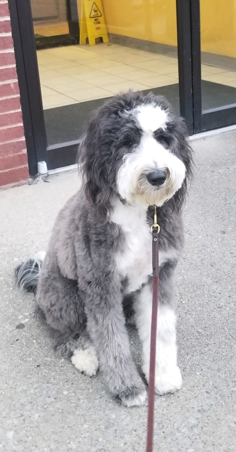 A Brush with Greatness Crystal Lake