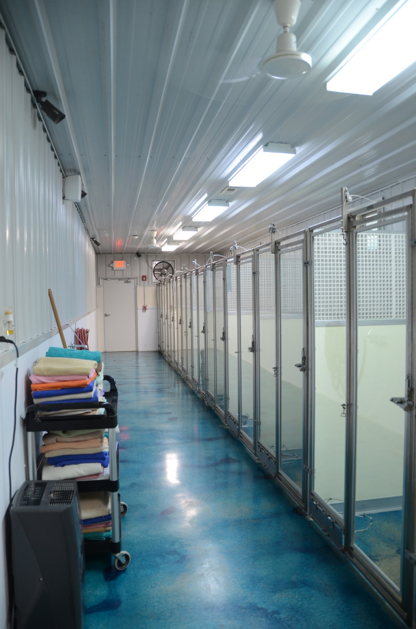 Paw-a-day Inn K9 Suites Danville