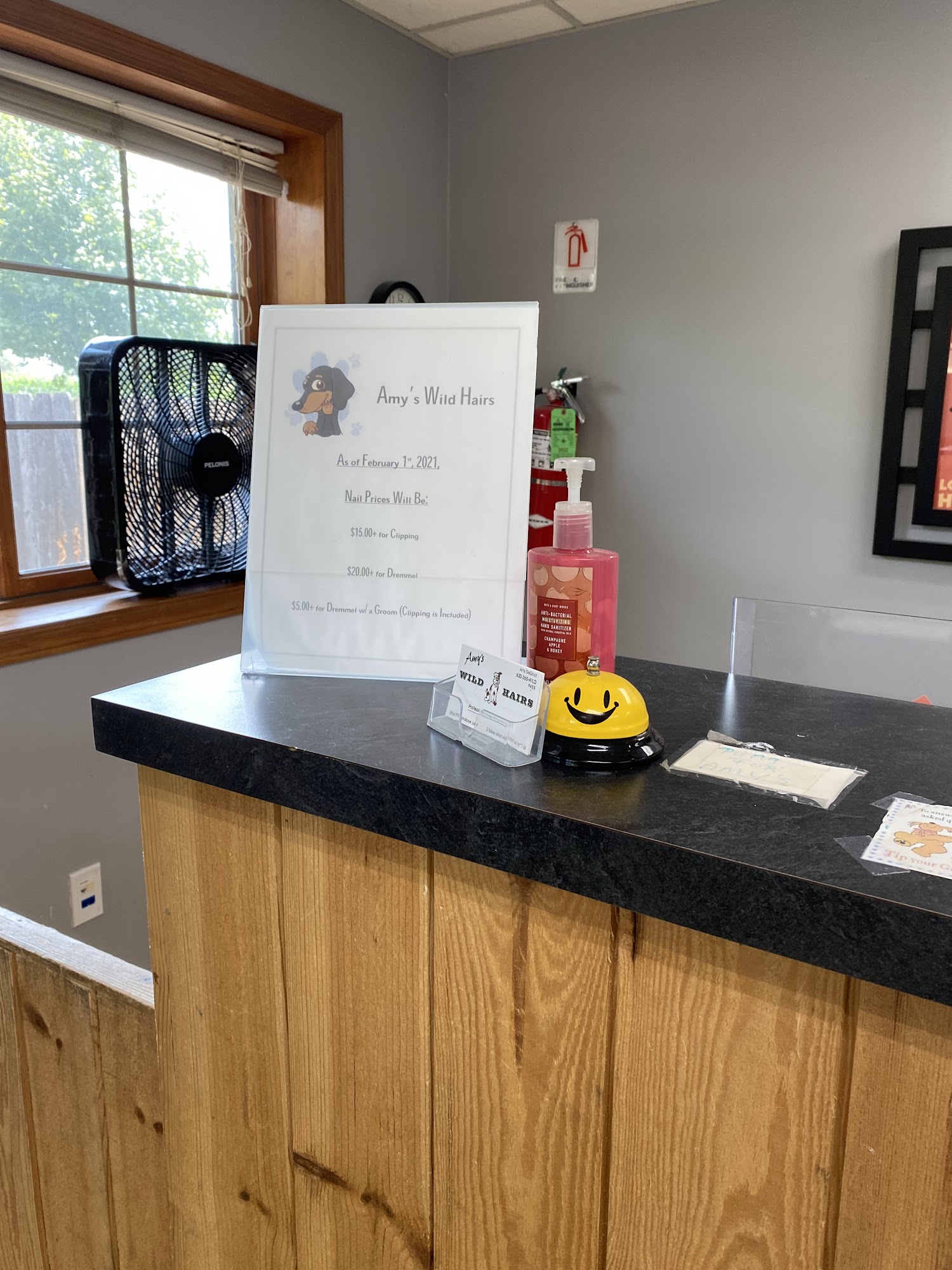 Out 'N About Dog Daycare & Boarding Elburn