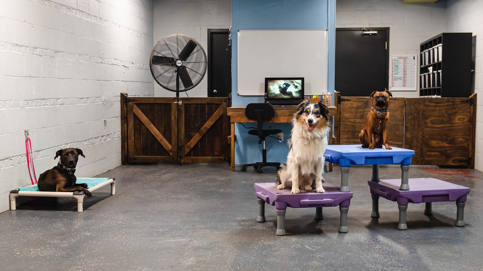 Dog Den Chicago Forest Park