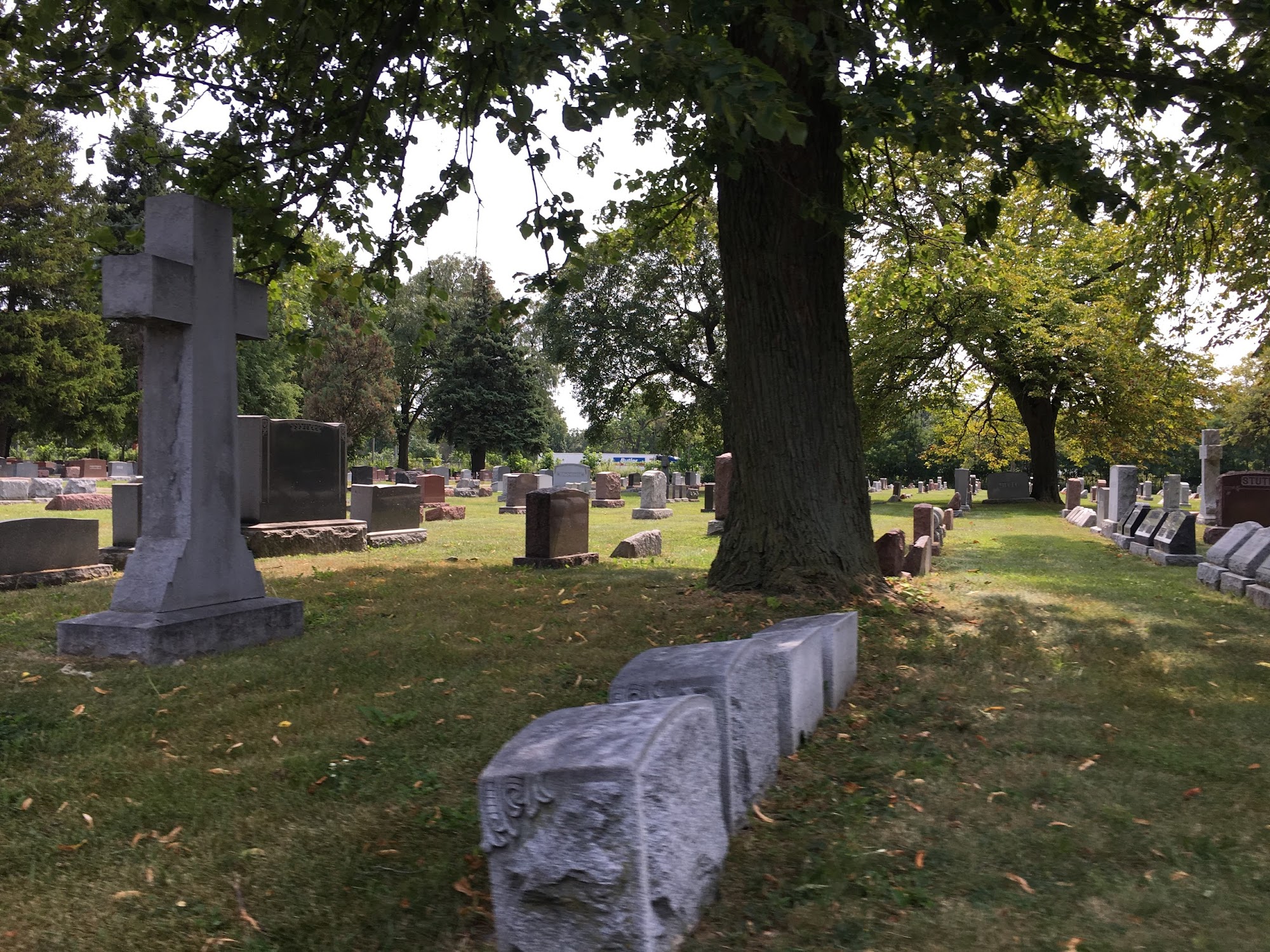 Concordia Cemetery 7900 Madison St, Forest Park Illinois 60130